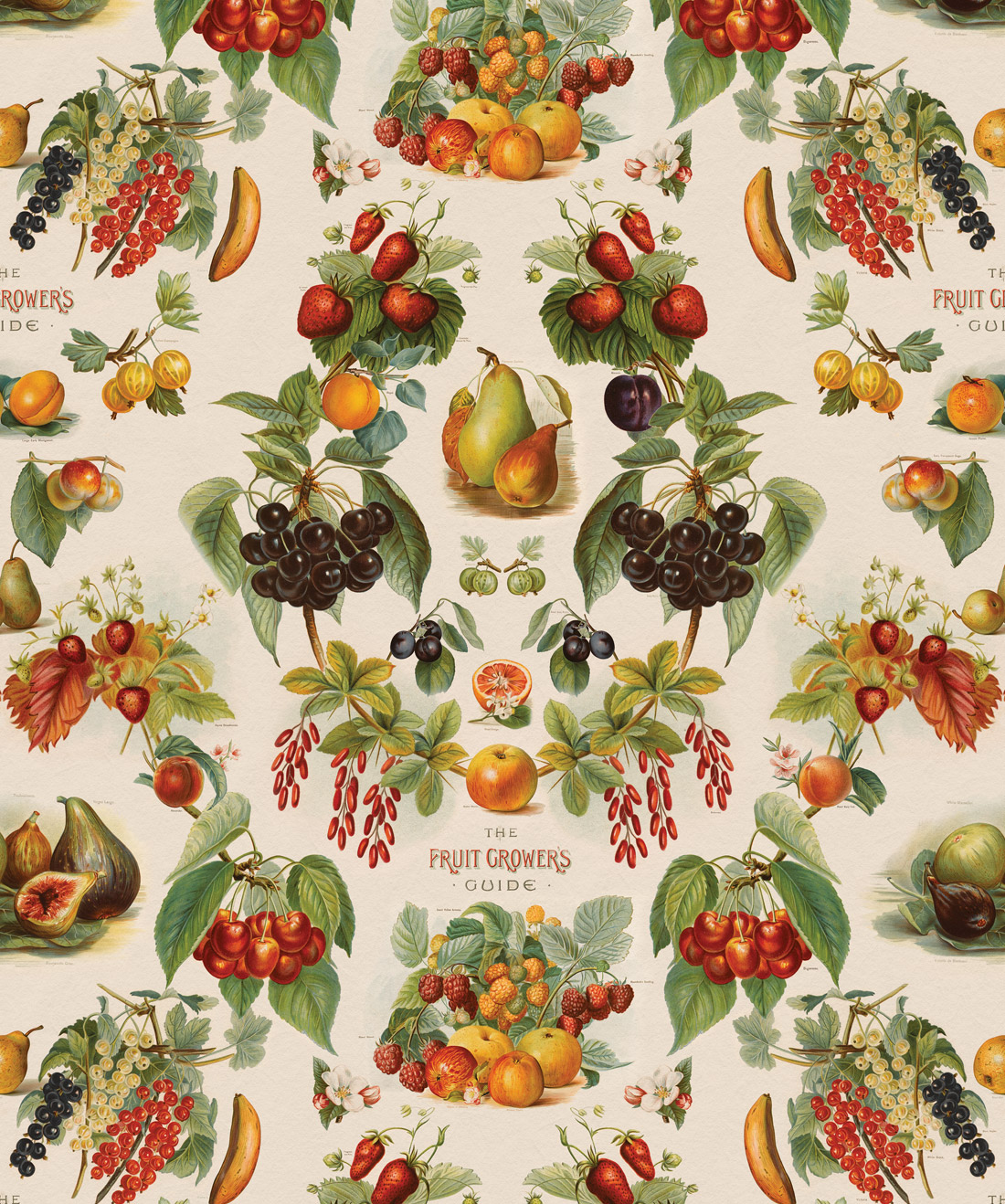 Fruit Growers Guide is a unique kitchen wallpaper