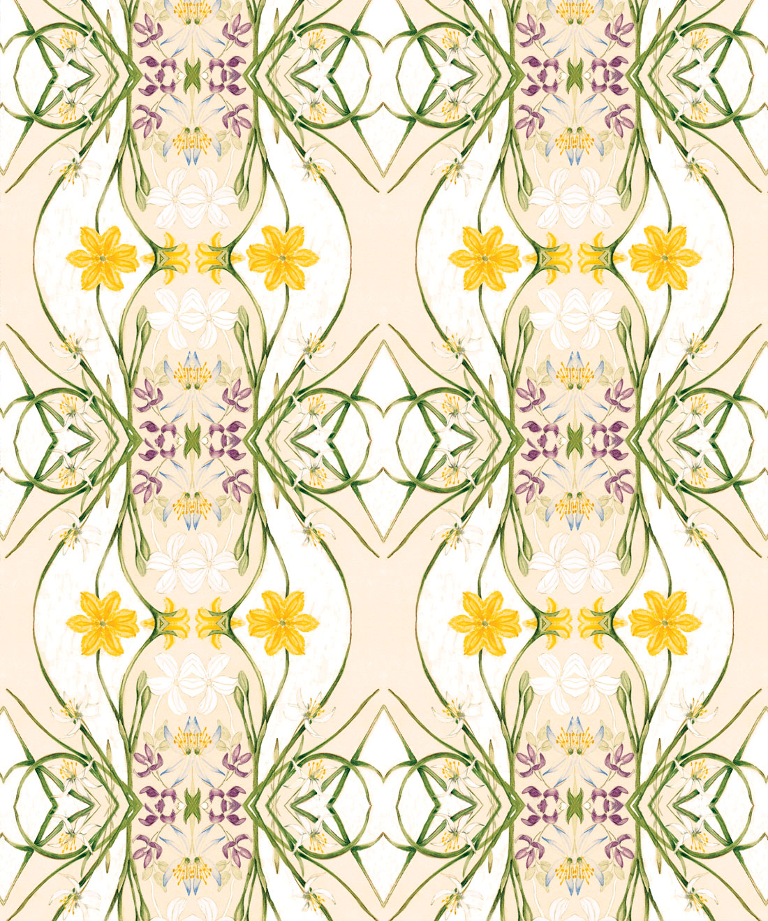 Euphemia 1