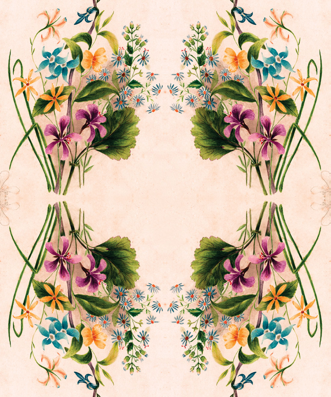 Euphemia 3