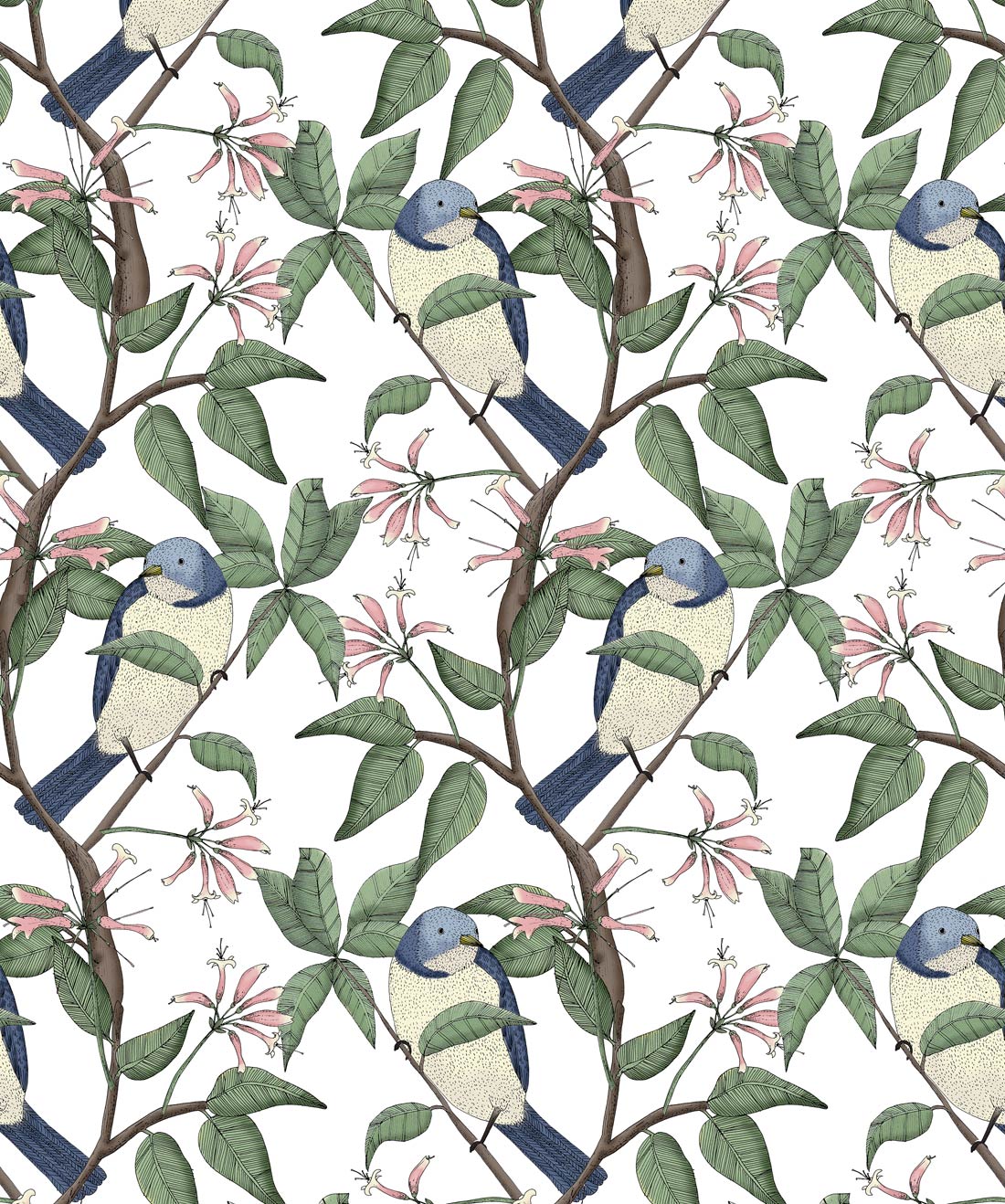 Bird Spotting white