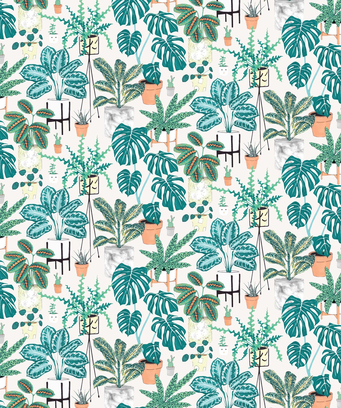 House Plants Wallpaper