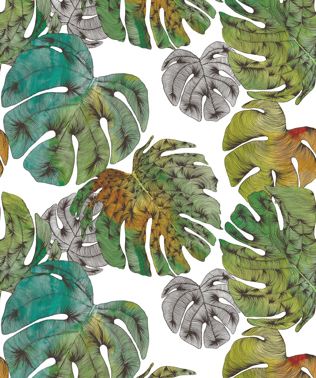 Monstera Clear Blue
