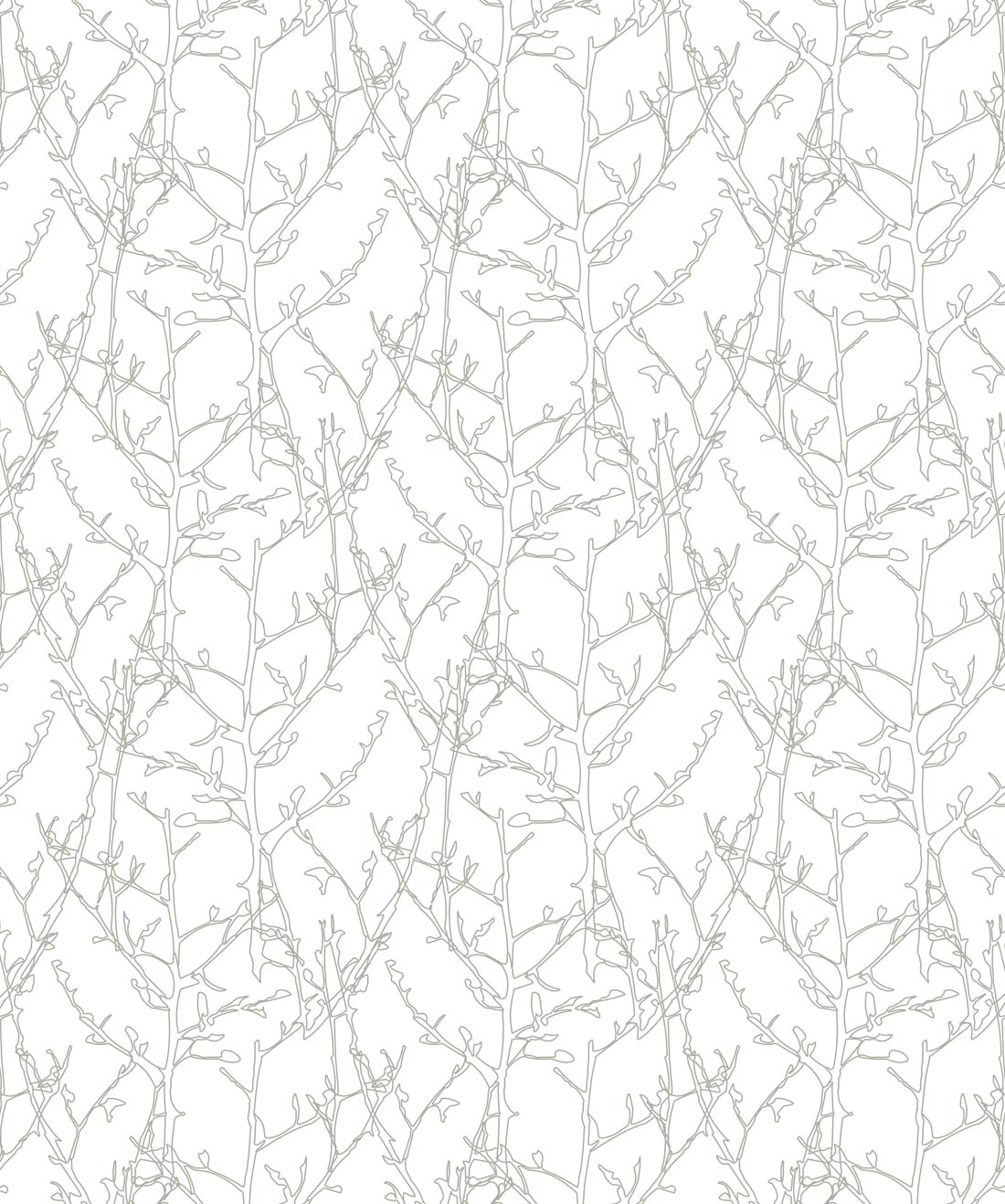 Twigs is a neutral plant Wallpaper