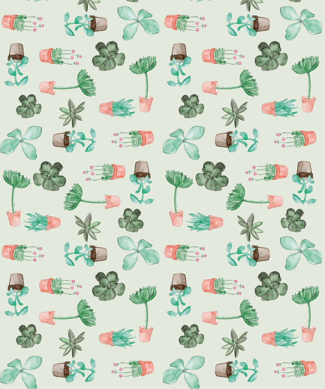 Succulents is a Potted Cactus Wallpaper
