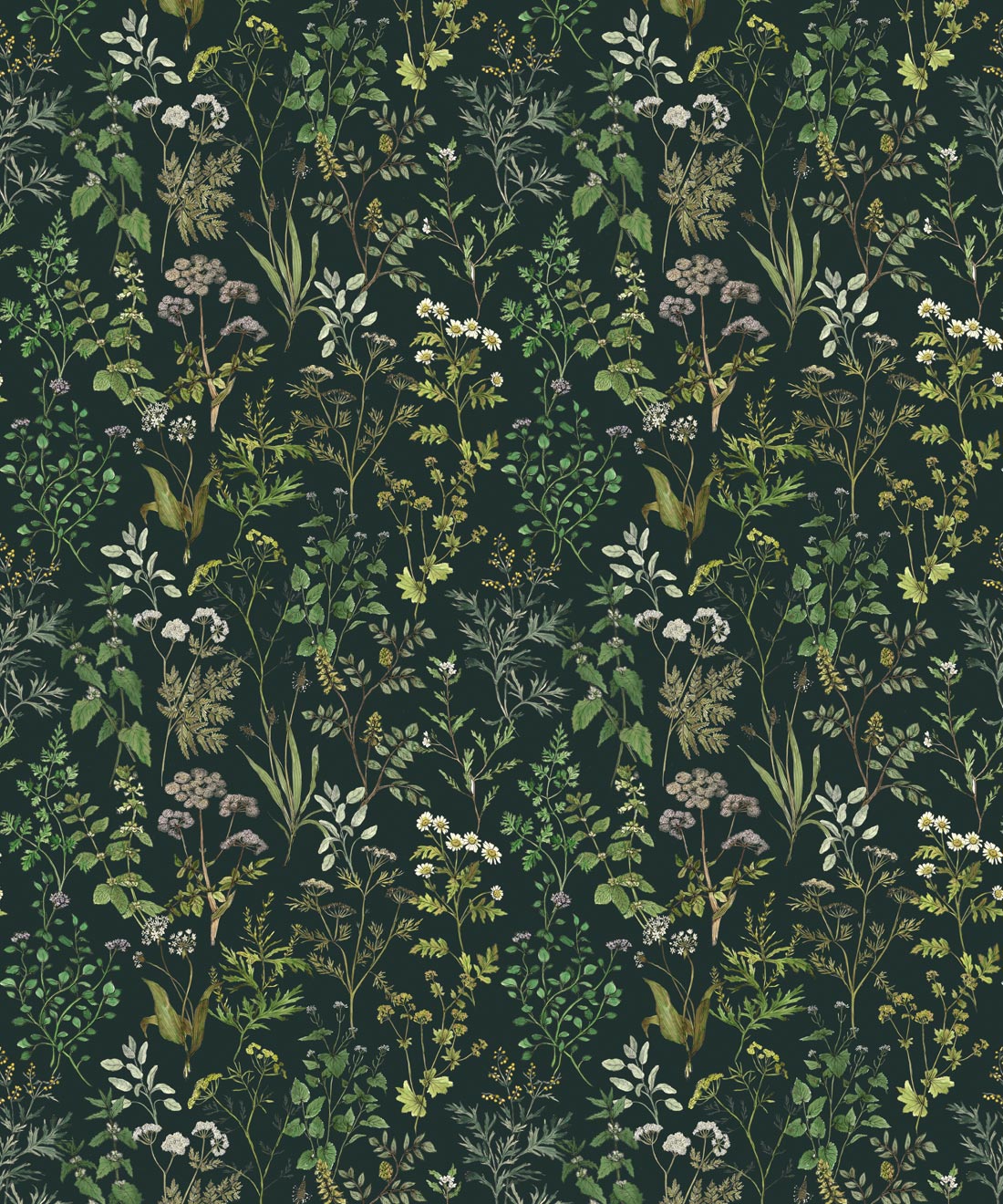 Herbarium Wallpaper • Hackney & Co. • Green • Swatch