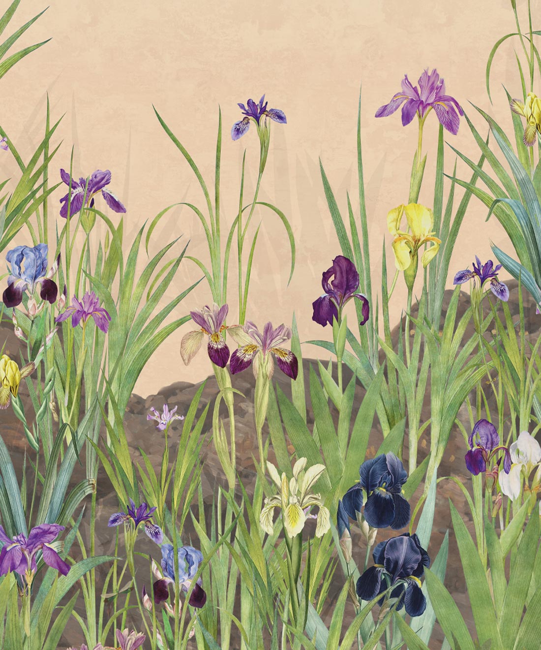 Iris Garden Mural • Pink • Swatch