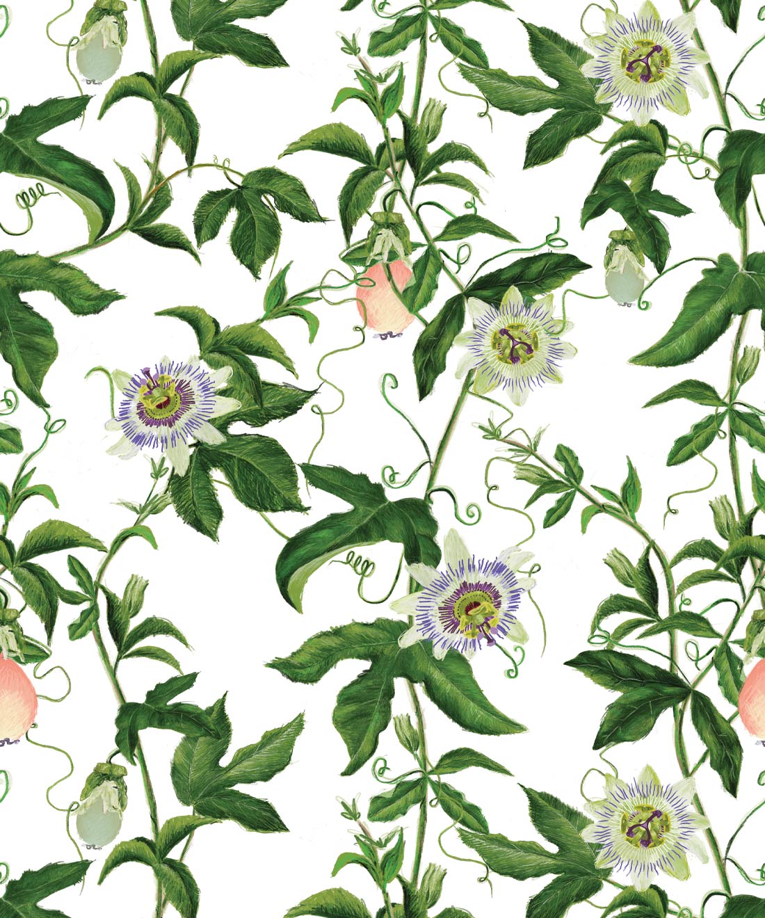Passion Wallpaper • Wallpaper with Passion Fruit • White • Swatch
