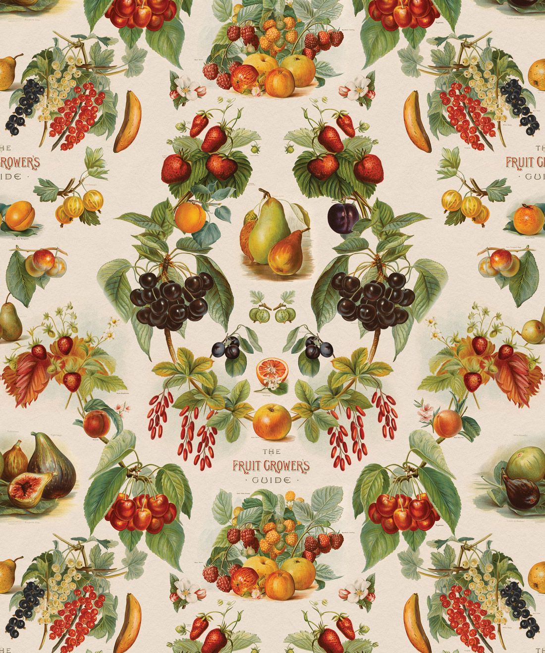 Fruit Growers Guide is a unique kitchen wallpaper