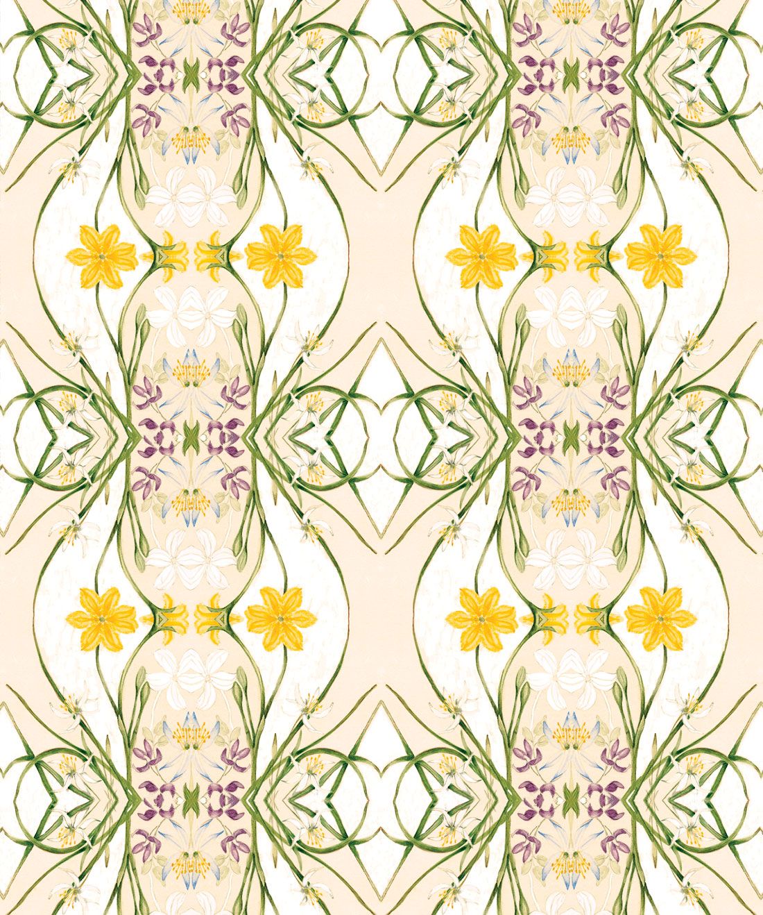 Euphemia 1