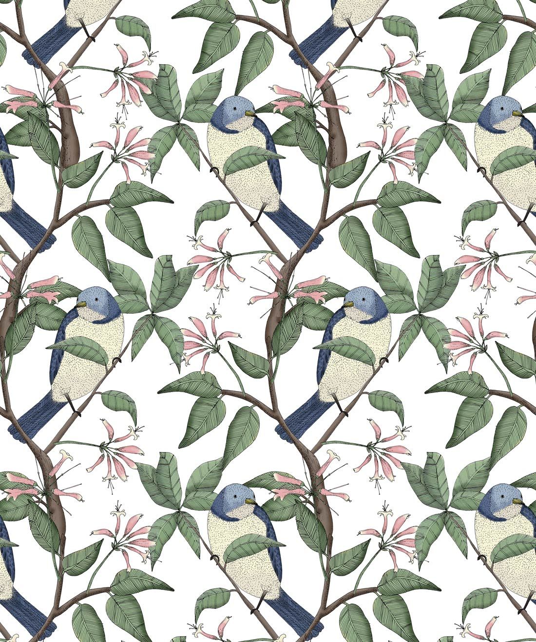 Bird Spotting white