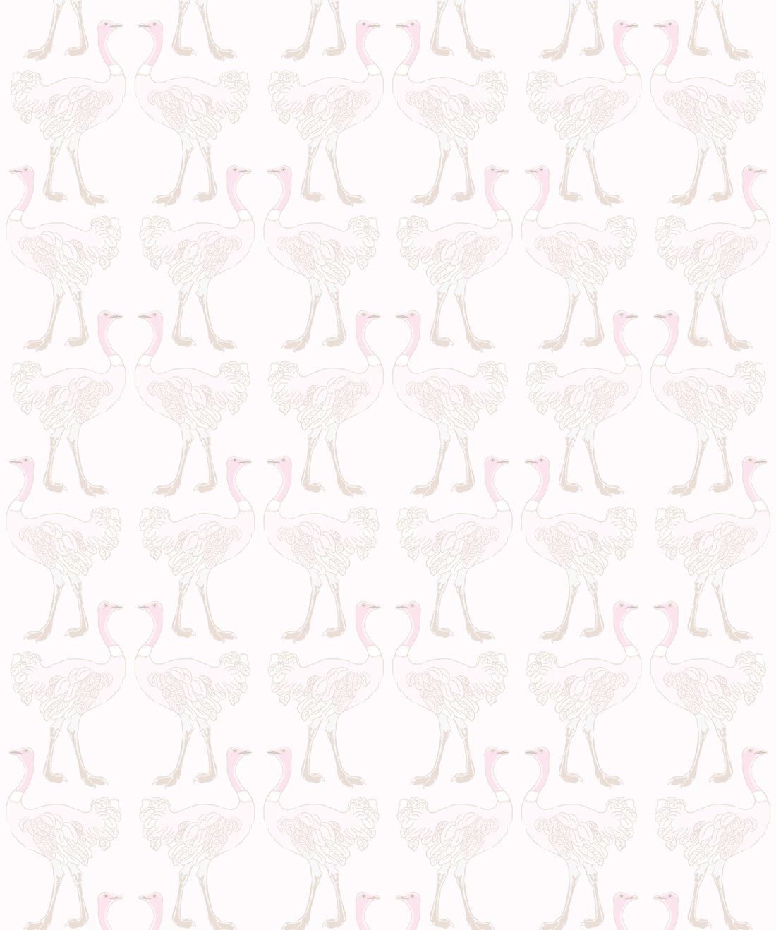 Ostrich Strut Blushing Pink