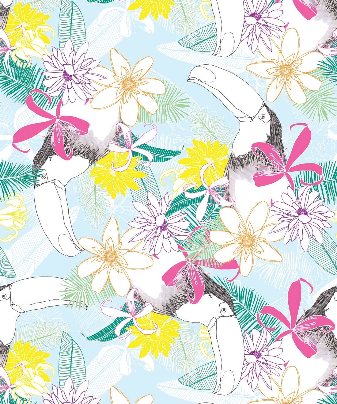 Toucan