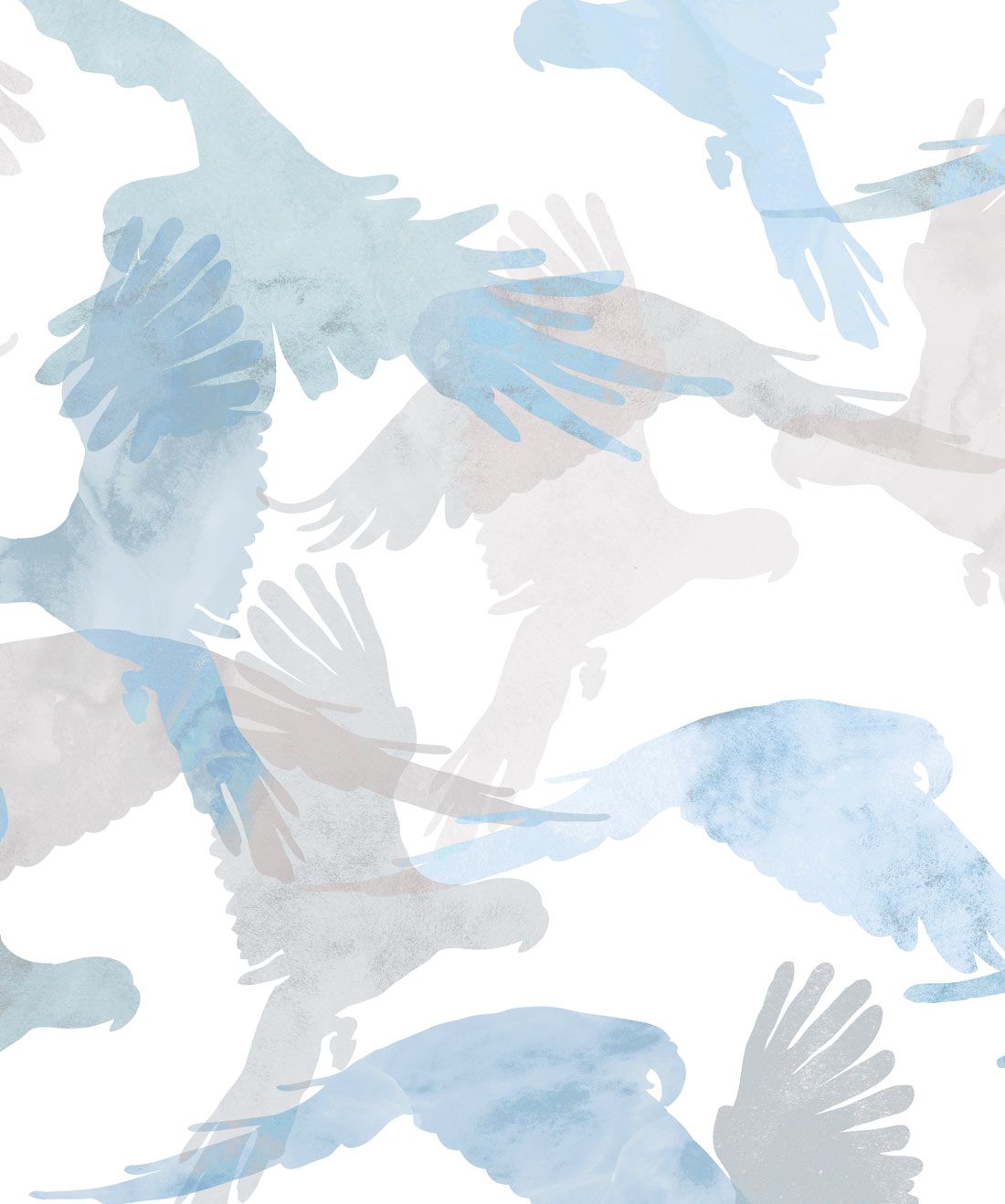 Lorikeets in Buccaneers a modern bird wallpaper