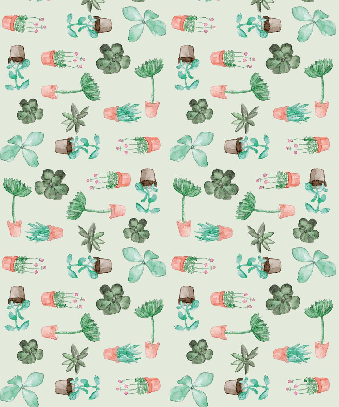 Succulents is a Potted Cactus Wallpaper