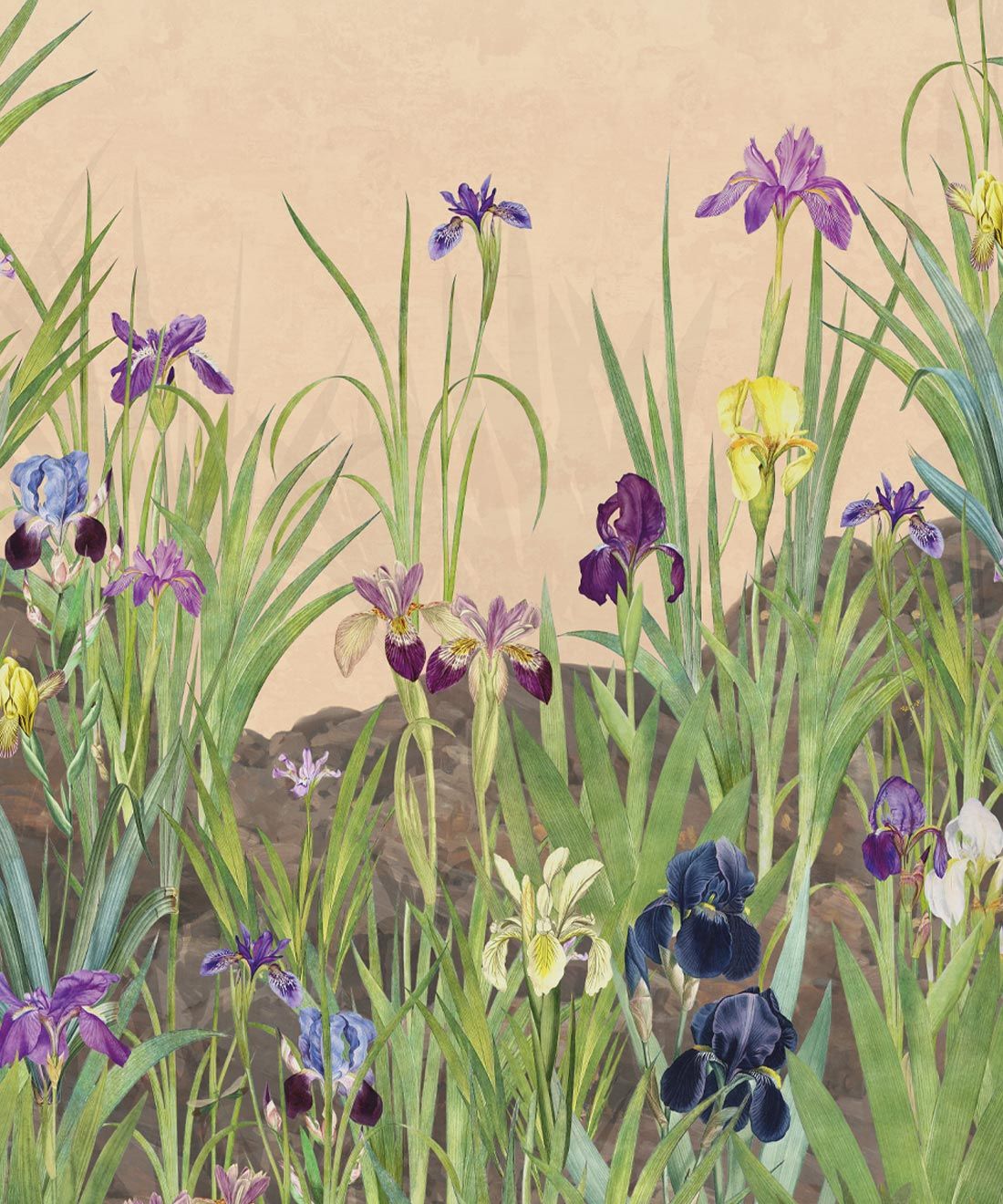 Iris Garden Mural • Pink • Swatch