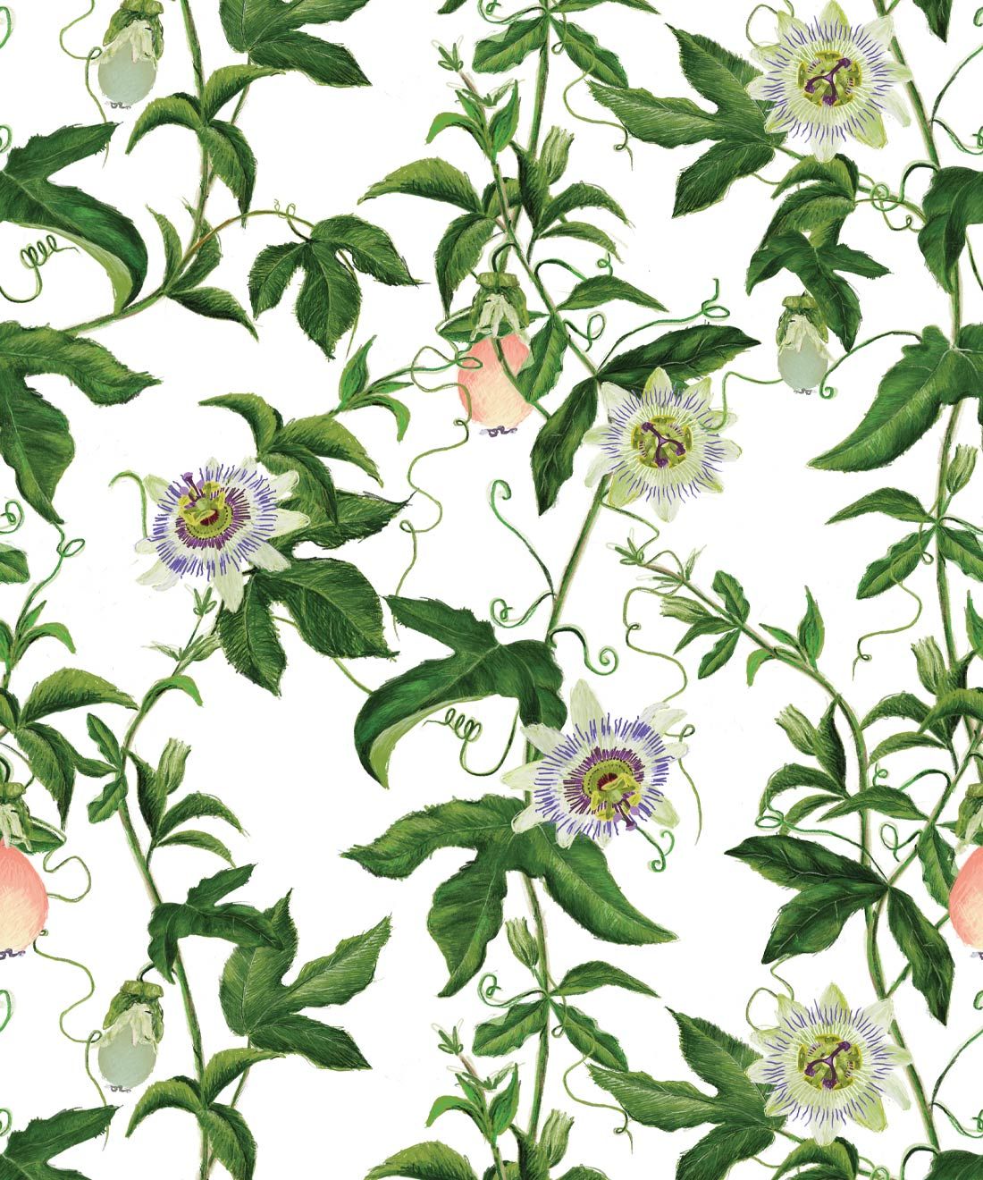 Passion Wallpaper • Wallpaper with Passion Fruit • White • Swatch