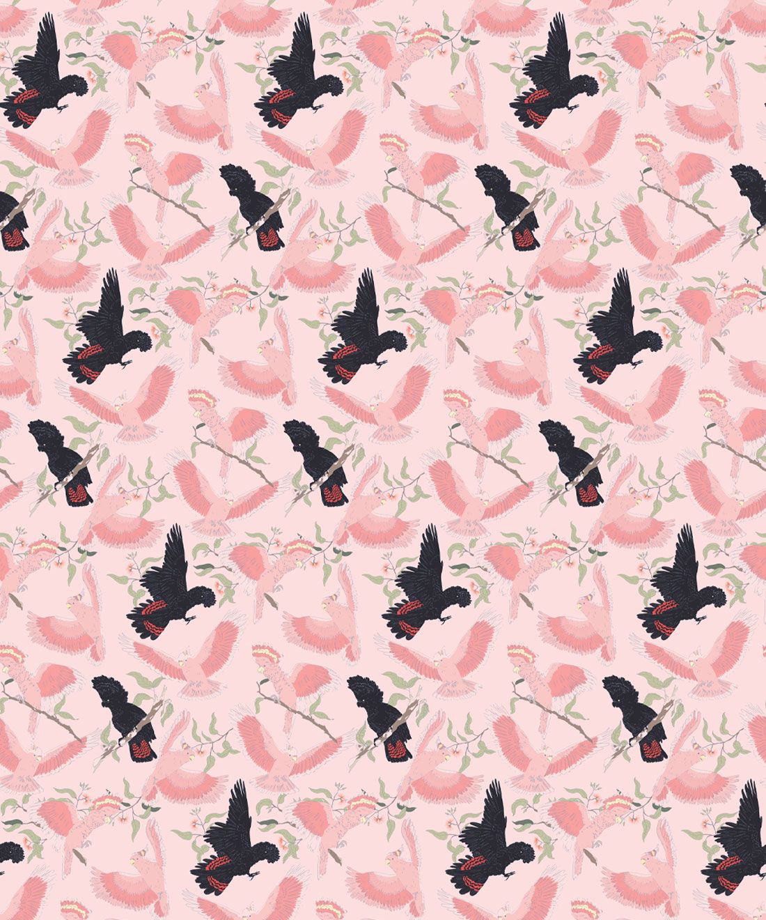 Bird Watch Wallpaper • Australian Cockatoo Bird • Rose • Swatch